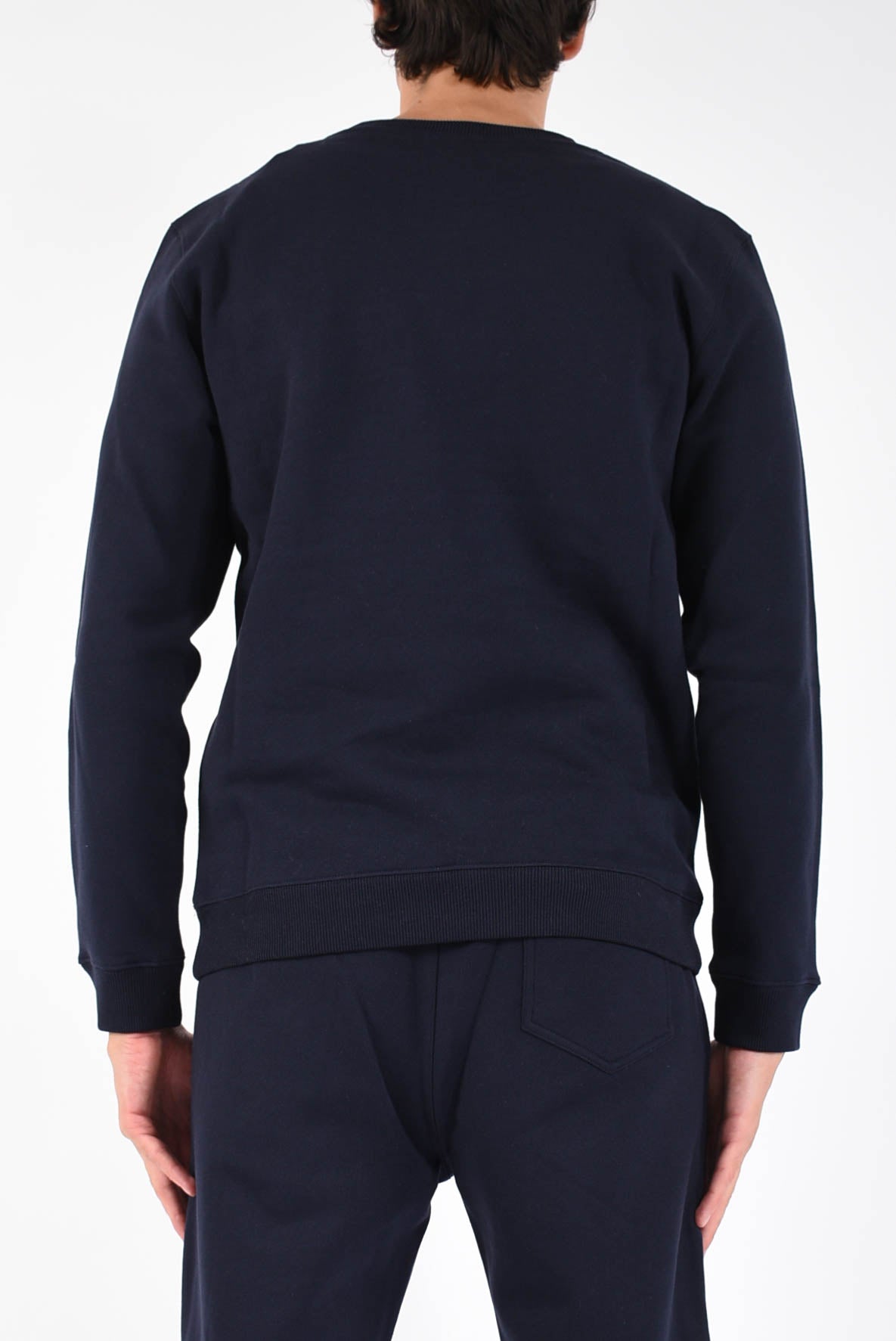 Felpa girocollo regular in cotone