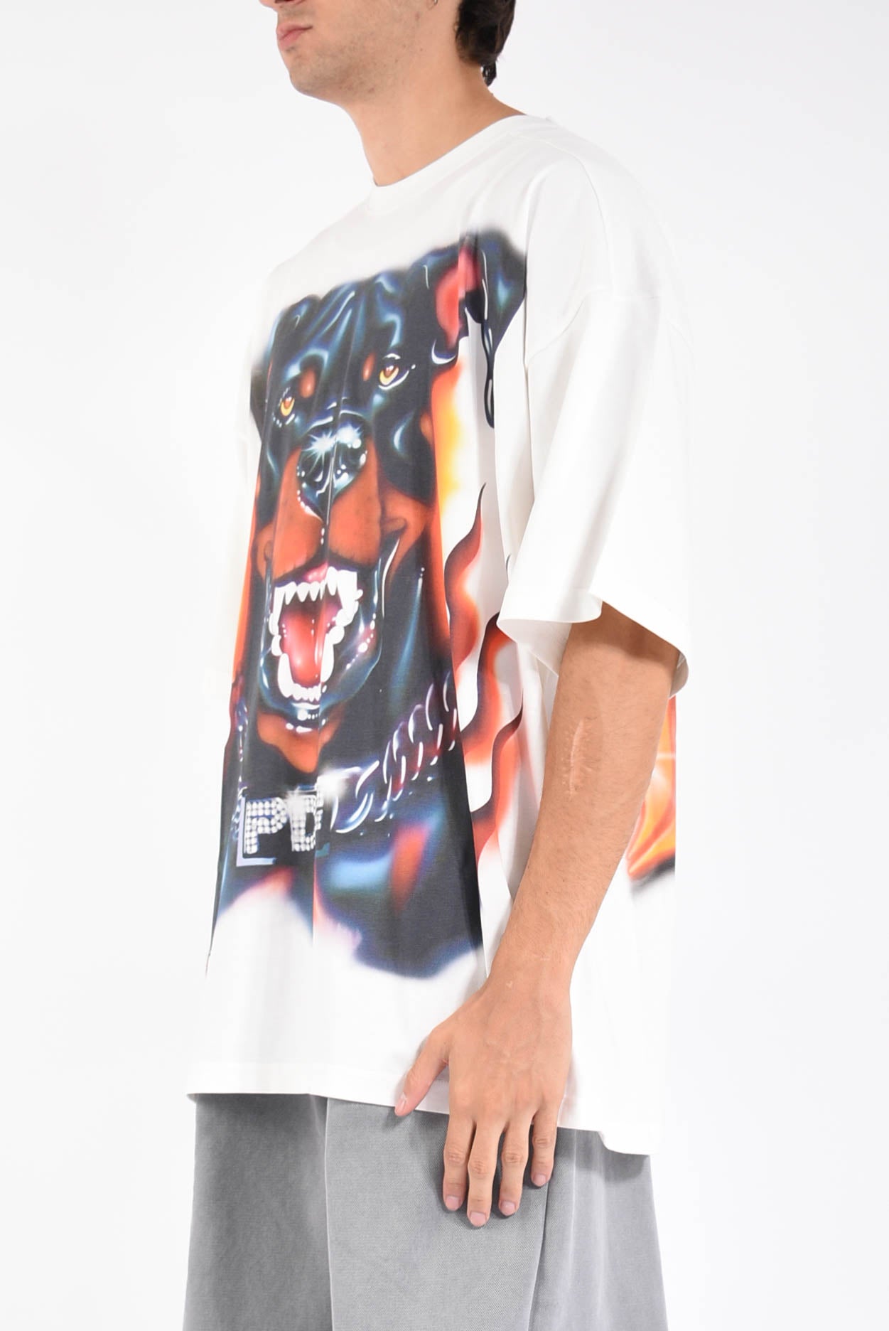 t- shirt the boy white dog