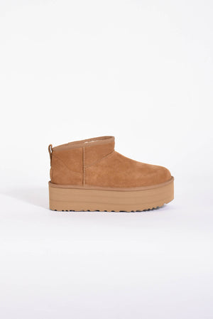 Cammello