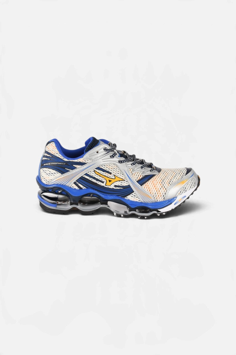 Sneakers wave prophecy1 D1GA2655
