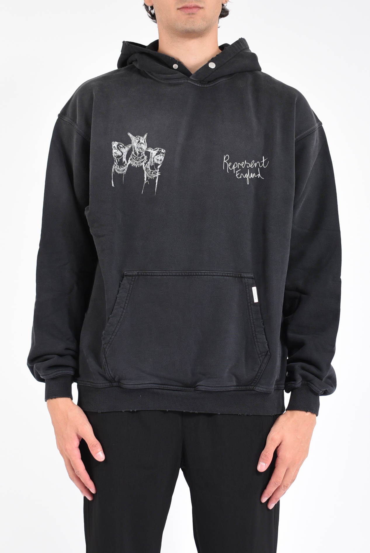 felpa con cappuccio Thoroughbred Dogs