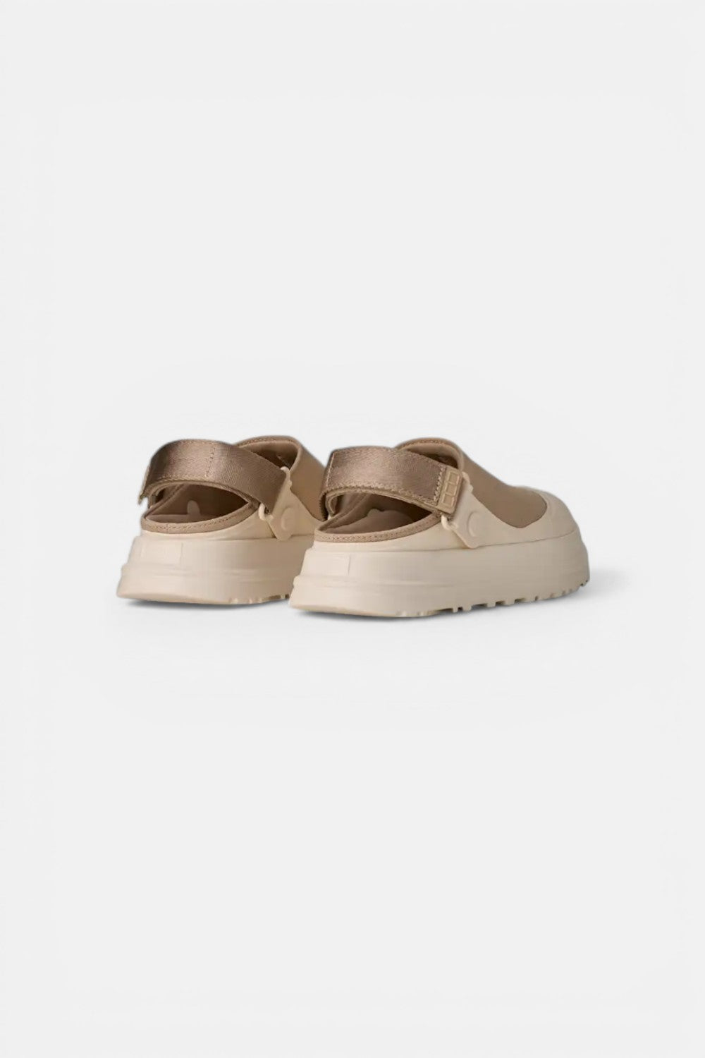 Sabot goldenglow canvas