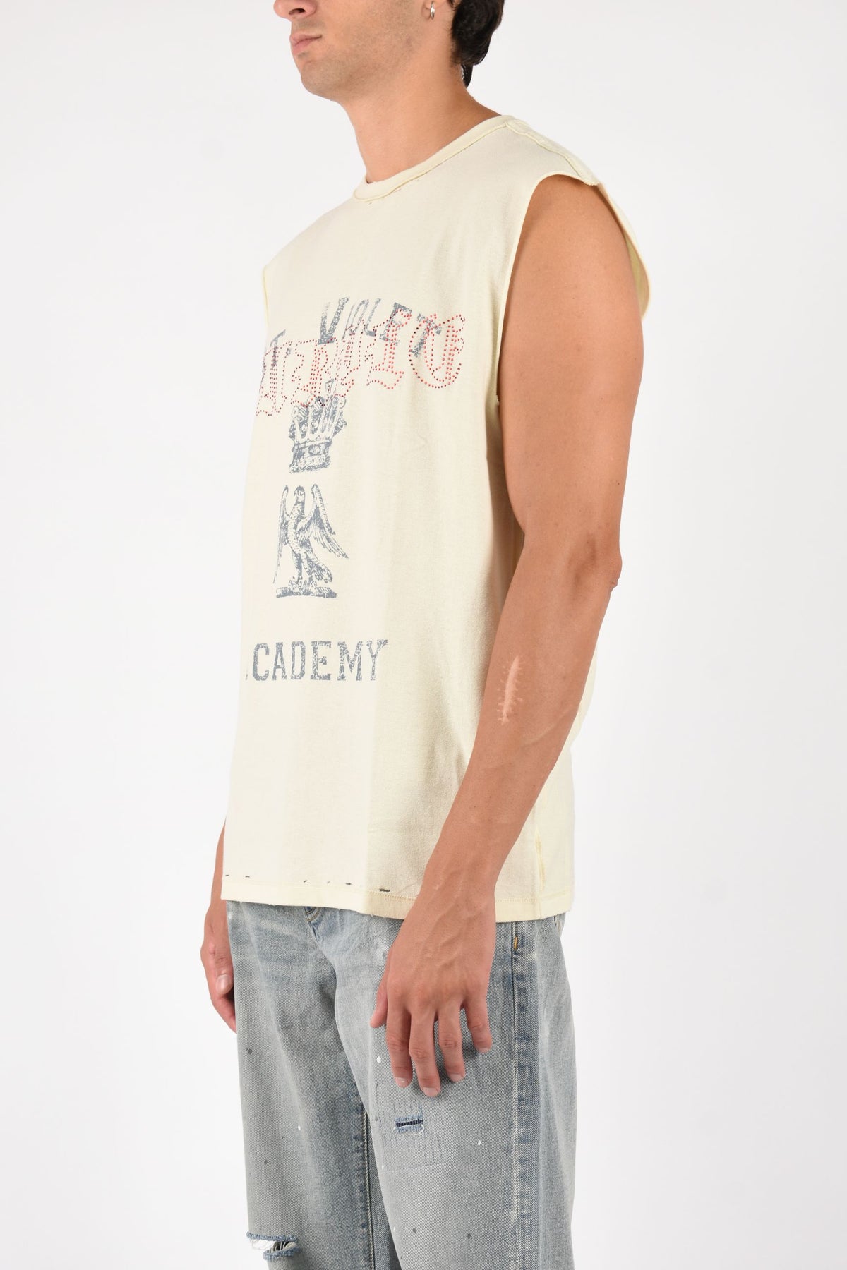 T-shirt smanicata St. Violet Crystals