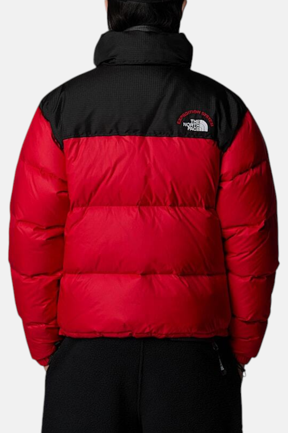 Piumino retro nuptse 1996