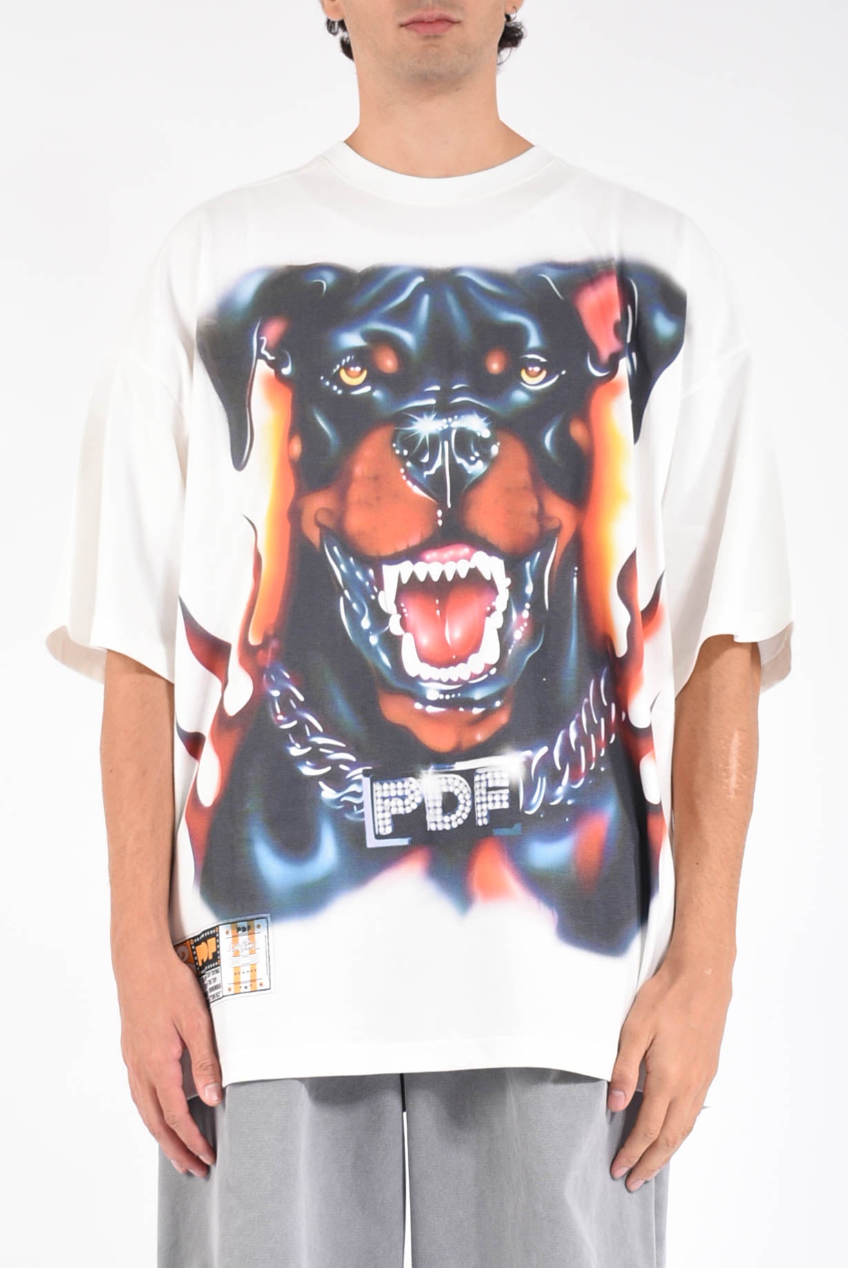 t- shirt the boy white dog