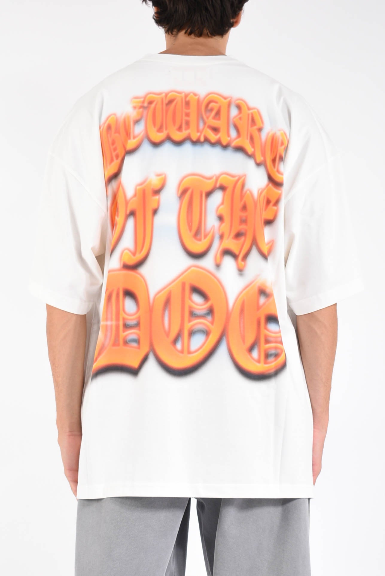 t- shirt the boy white dog