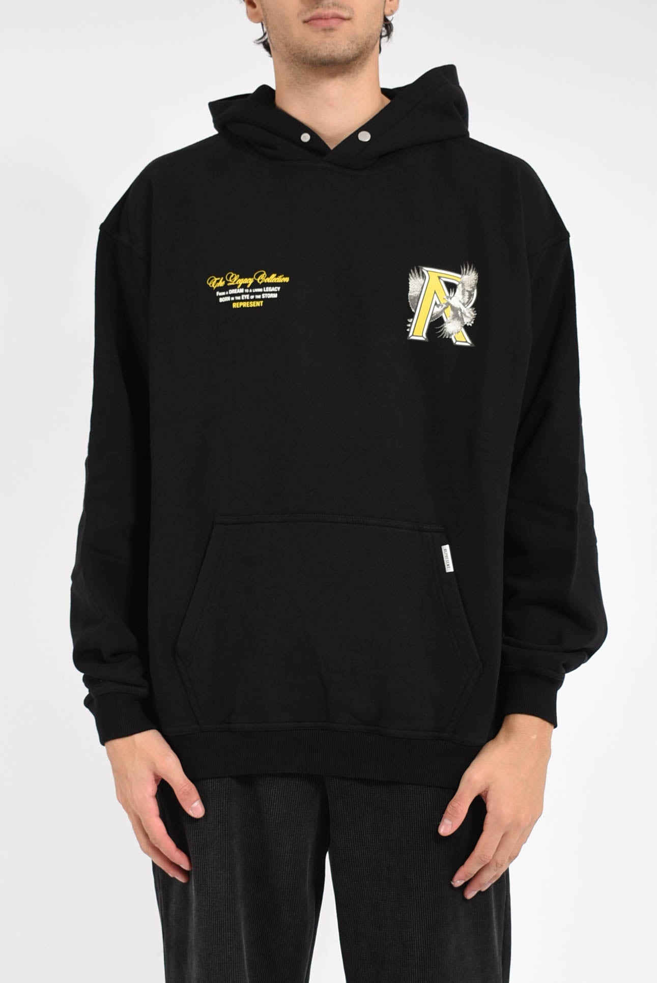 Felpa legacy falcons