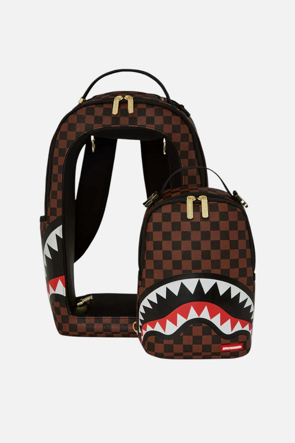 zaino Sharks in a hole in paris