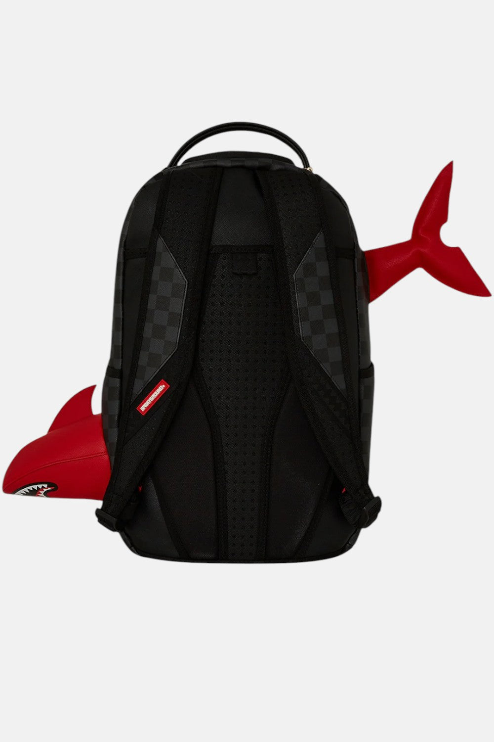 zaino Shark smashed through