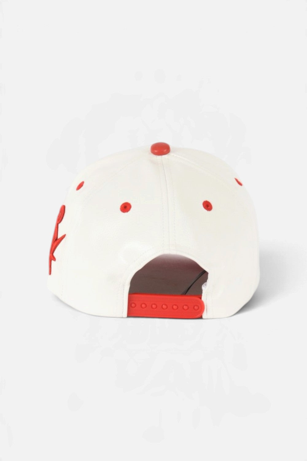 Cappello progetto trucker DFM58053C011PX