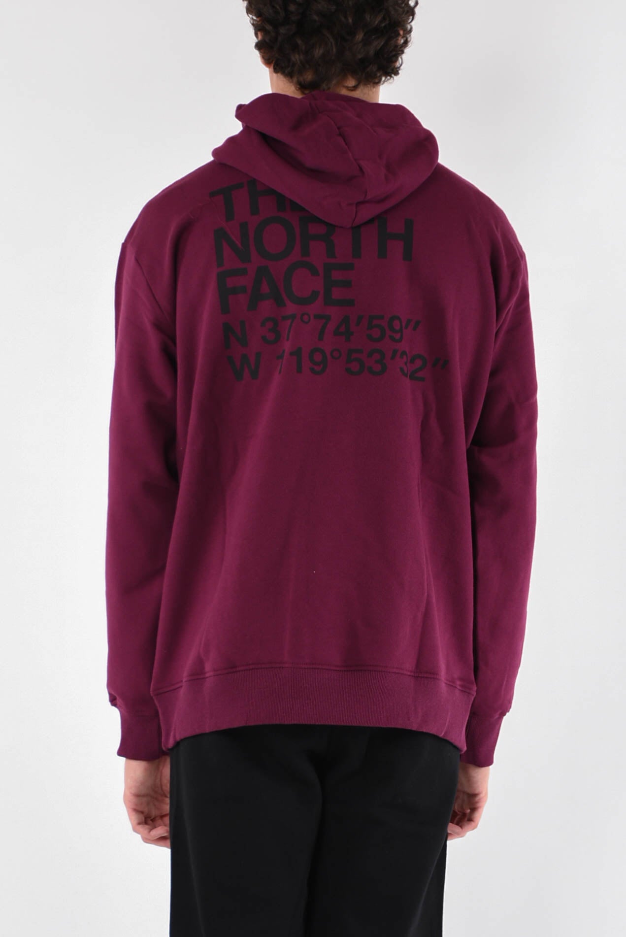 THE NORTH FACE Felpa coordinates